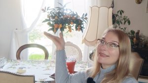 С наступающим!  Подарки уже! Франция и мы