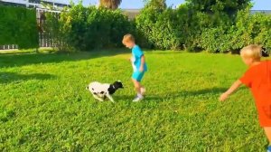 Влад и Ники - Крис фермер