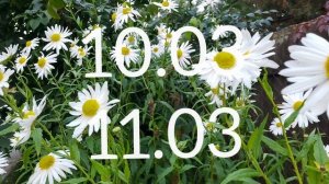 Лунный календарь Комнатного цветовода с9.03-15.03.26г.