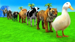 Мультики для детей. Яркие Мультики. Детские мультики для малышей смотреть