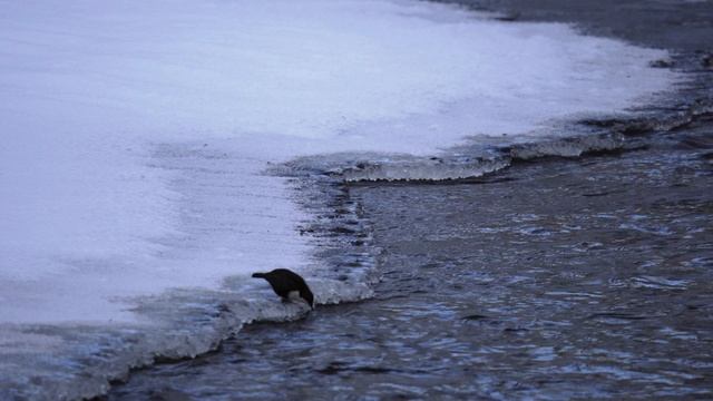 ФОТОПРАКТИКИ. СЪЁМКА РЕКИ.