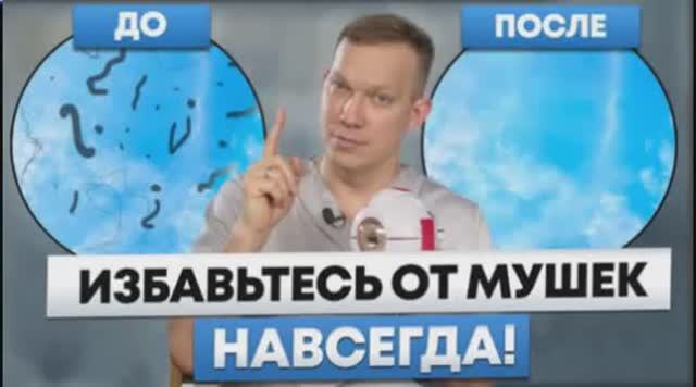 МУШКИ  в  глазах и что  с  ними  делать