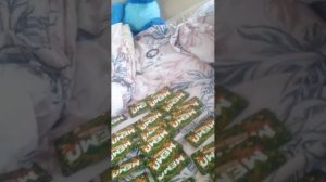 Бой щекотушек