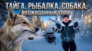 Нарвались на крупняк! Мощные хариусовые поклёвки. Жизнь в тайге.