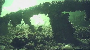 1000011292.mp4Волга гл.2м.08.03.2026г.