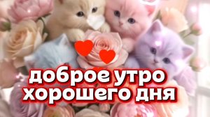 Открытки доброе утро хорошего дня красивые новые пожелания удачи ☀️🌸