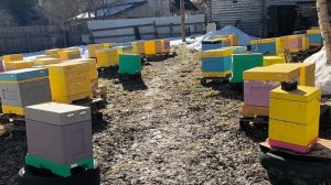 6 марта Первые весенние дни))