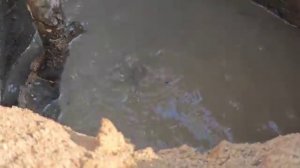 Иракские кочевники.