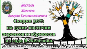 Скидки 50% на сухие косточки персиков и абрикосов из сада В.Железова.