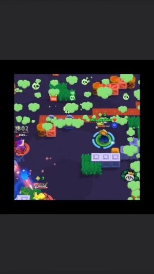 топ брал старс