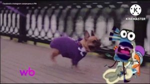 ПОБЕГ ОТ СОБАКИ 1-10