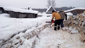 пилим дрова с напарником