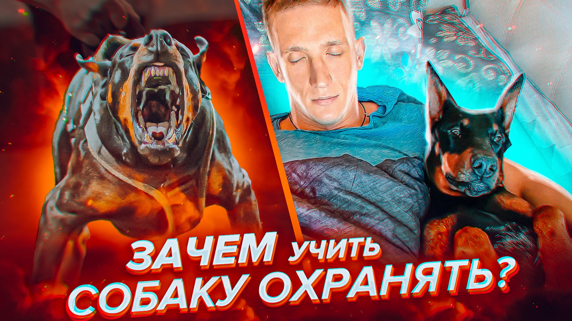 СОБАКА ДЛЯ ОХРАНЫ | а ваша собака сможет защитить смотреть онлайн