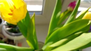 Любви, Красоты и много Счастья в День Весны!!!