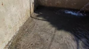 Резервуар для воды- ил, вторая секция и чистая вода из колодца _ (Дом в Португалии)