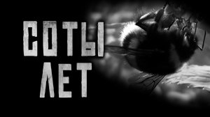 Соты Лет.. Страшные истории на ночь.Страшилки на ночь.