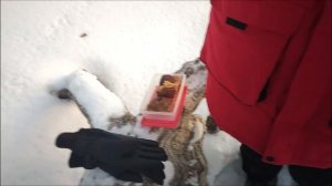 Влог / 07.03.2026 / Покупки, прогулка, выпечка, настолка