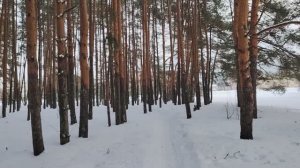 Долговая яма и каким образом из нее выбраться?