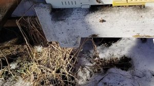 ждем 10 марта  будет +12  что надо будет сделать