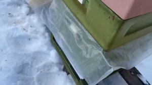 Осмотр пасеки после зимовки. Результаты.