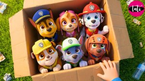 Щенячий патруль и Маршалл. Залипательное видео. Мультфильм для детей и малышей. Анимация 346