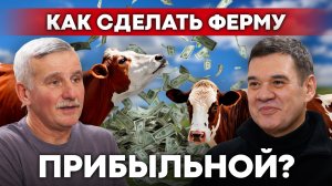 Ферма с нуля: сколько нужно земли, коров и денег, чтобы зарабатывать? КФХ Герефорд