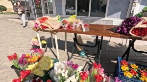 С Праздником 8марта.Анапа.🌹🥀🌺