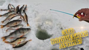 🔥 ТАЙНА ВЕСЕННЕГО ЛЬДА: Я нашел волшебную лунку в марте 2026!