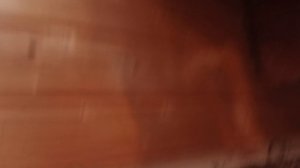 пересадил лимон