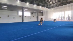 ЖП КМС, Оситковская Полина - Оситковская Кира, ШСА «ОСЬ», Балансовое упражнение