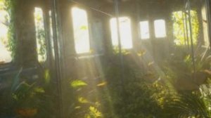 Колаб с  Family stoun