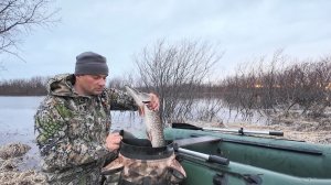 ПРОВЕРКА СЕТЕЙ НА РАЗЛИВАХ. РЫБАЛКА НА СЕТИ ВЕСНОЙ. ВОДА ПРИБЫВАЕТ, ТОПИТ ВСЕ ВО КРУГ.