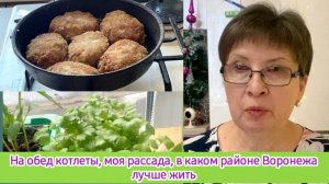На обед котлеты, что с рассадой. В каком районе Воронежа лучше жить