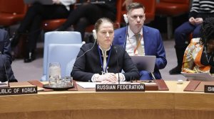 Зампостпреда РФ при ООН напомнила о важной роли России в борьбе за права женщин