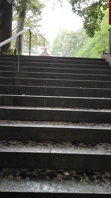 Япония. Токио. Сентябрь 2025г.