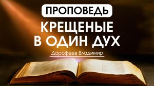 Крещёные в один Дух | Проповедь | Владимир Дорофеев | 03.03.2026