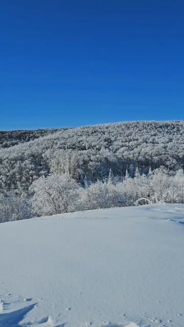 Зимнее утро! Видеограф: Елена Белецкая.