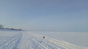 На берегу Белого моря