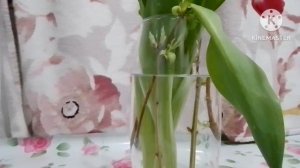 8 марта для любимой женщины!