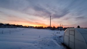 7 марта#боровка