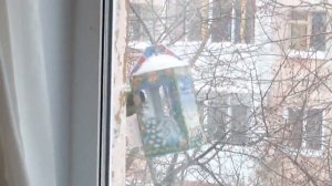 Синица у кормушки