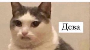 играем в типо волейболл