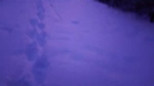 прекраснейший закат