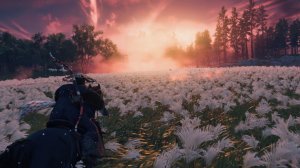 Ghost of Tsushima. Прохождение игры Призрак Цусимы 5 часть. Освобождение самурая.