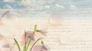 571. ⏳  Папа, где мой подарок?. Забавные ситуации.