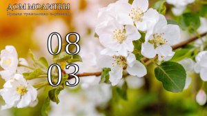 8.03.2026 - Прямая трансляция ст.Елизаветинская