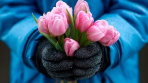 Мальчик, которому не продали букет, рассказал о желании порадовать маму