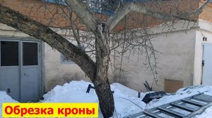 20260308 Обрезка кроны старой яблони дерево ветки ствол электро лобзик садовый вар сад огород г Орёл