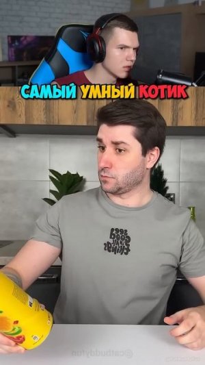 Самый Талантливый Котик в Мире!❤️😹 #shorts #шортс #мем #прикол #мемы #юмор #рофл #приколы #челлендж