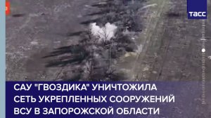 САУ "Гвоздика" уничтожила сеть укрепленных сооружений ВСУ в Запорожской области